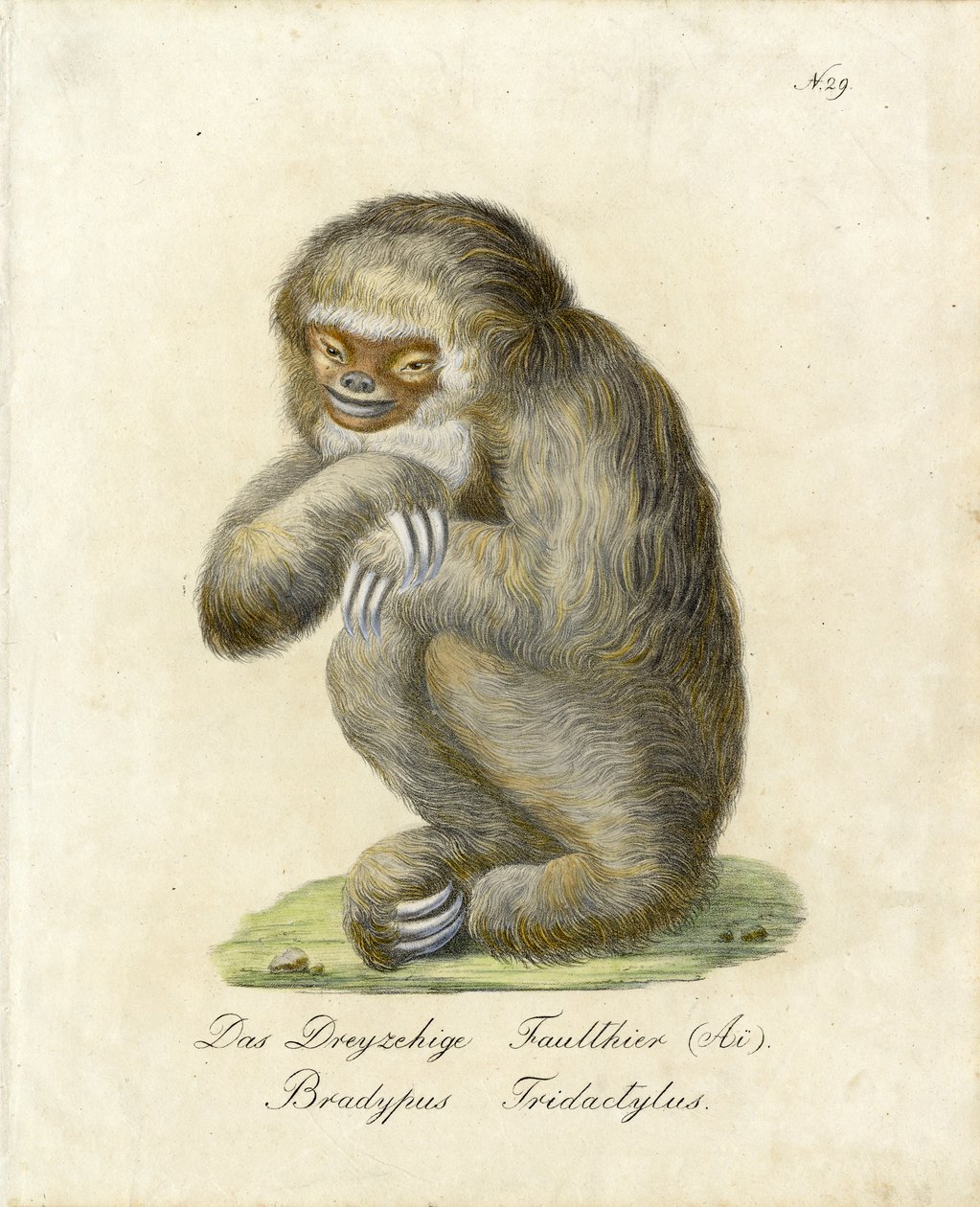  da Karl Joseph Brodtmann