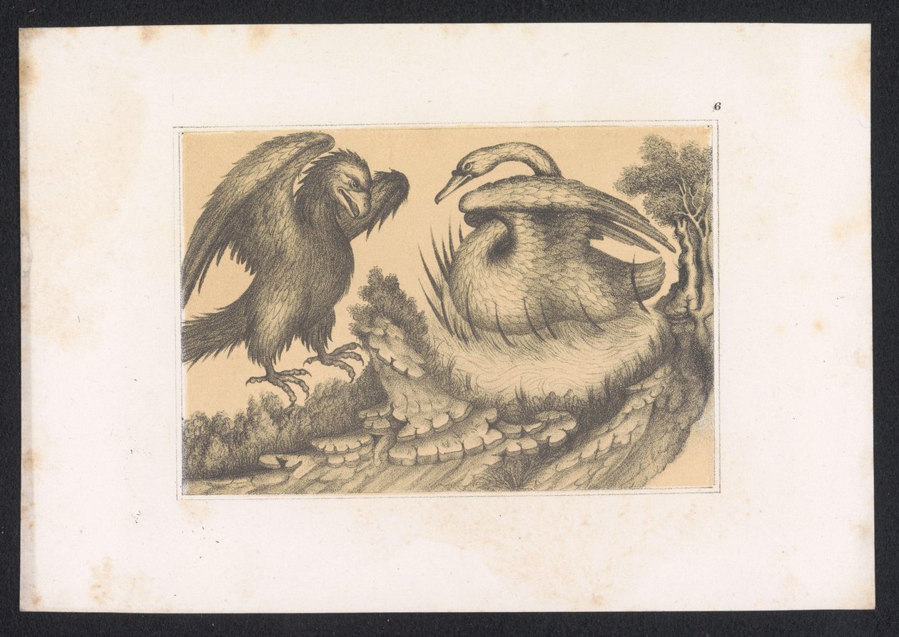 Cigno e aquila da Karl Palzow