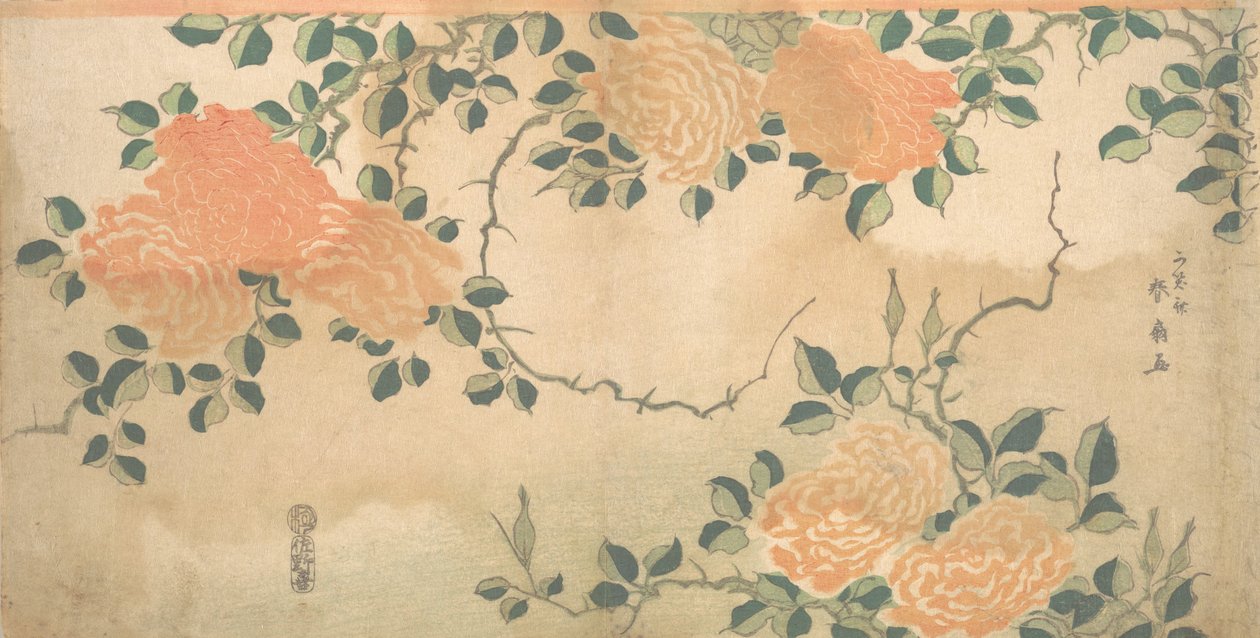 Rose da Kashosai Shunsen