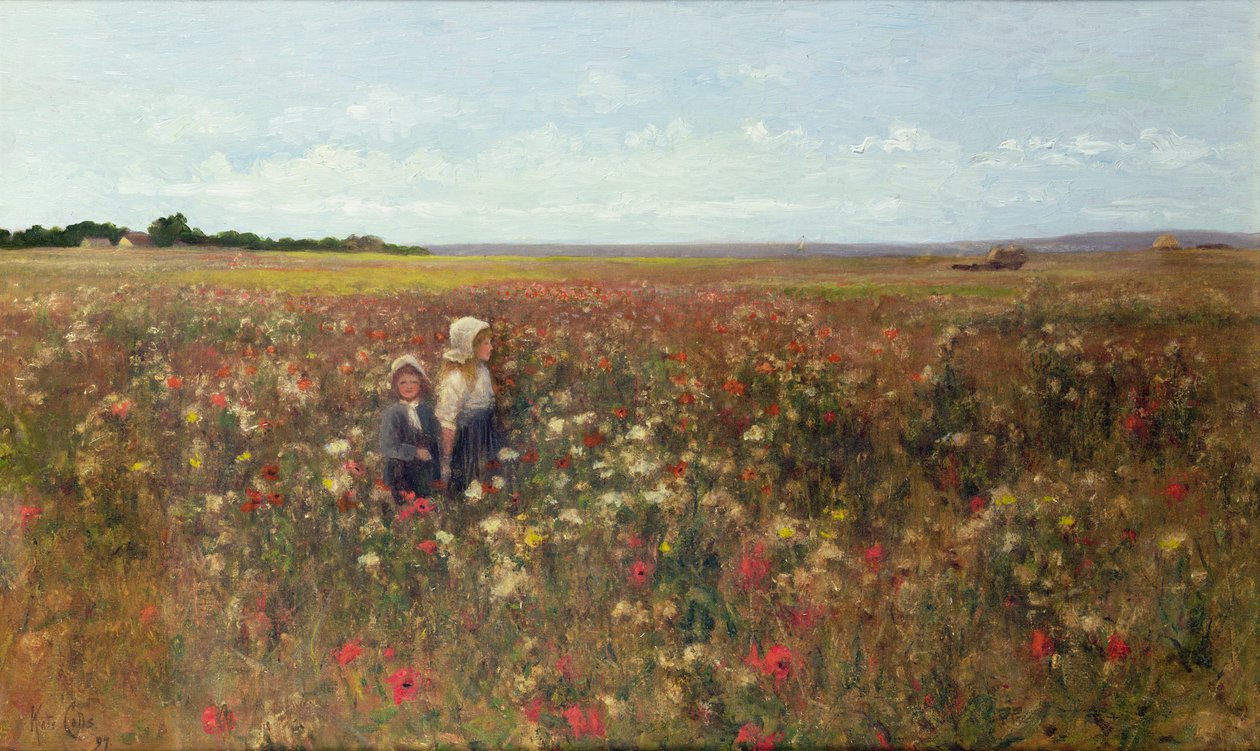 Il campo di papaveri, 1897 da Kate Colls