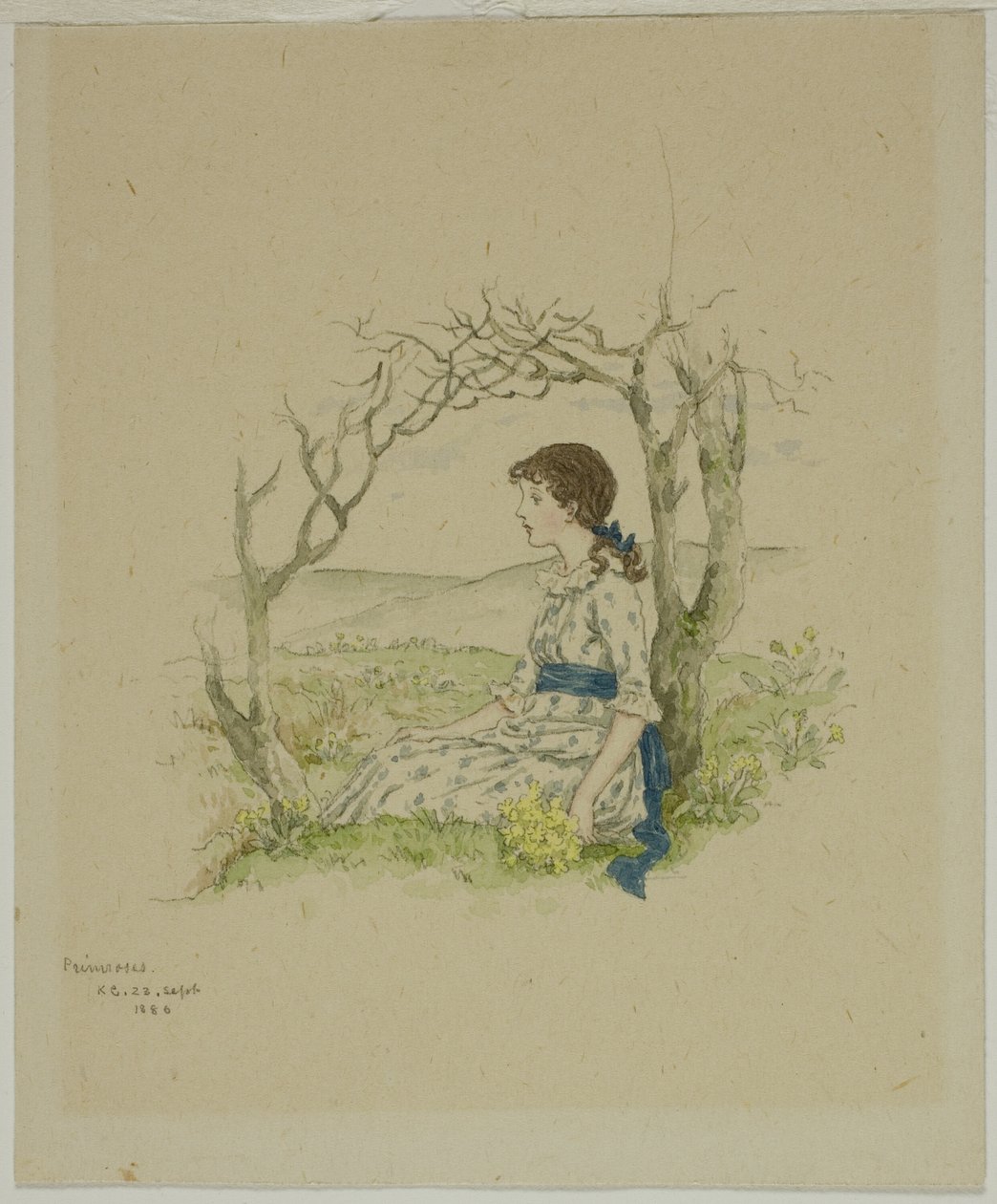 Ragazza seduta con primule da Kate Greenaway