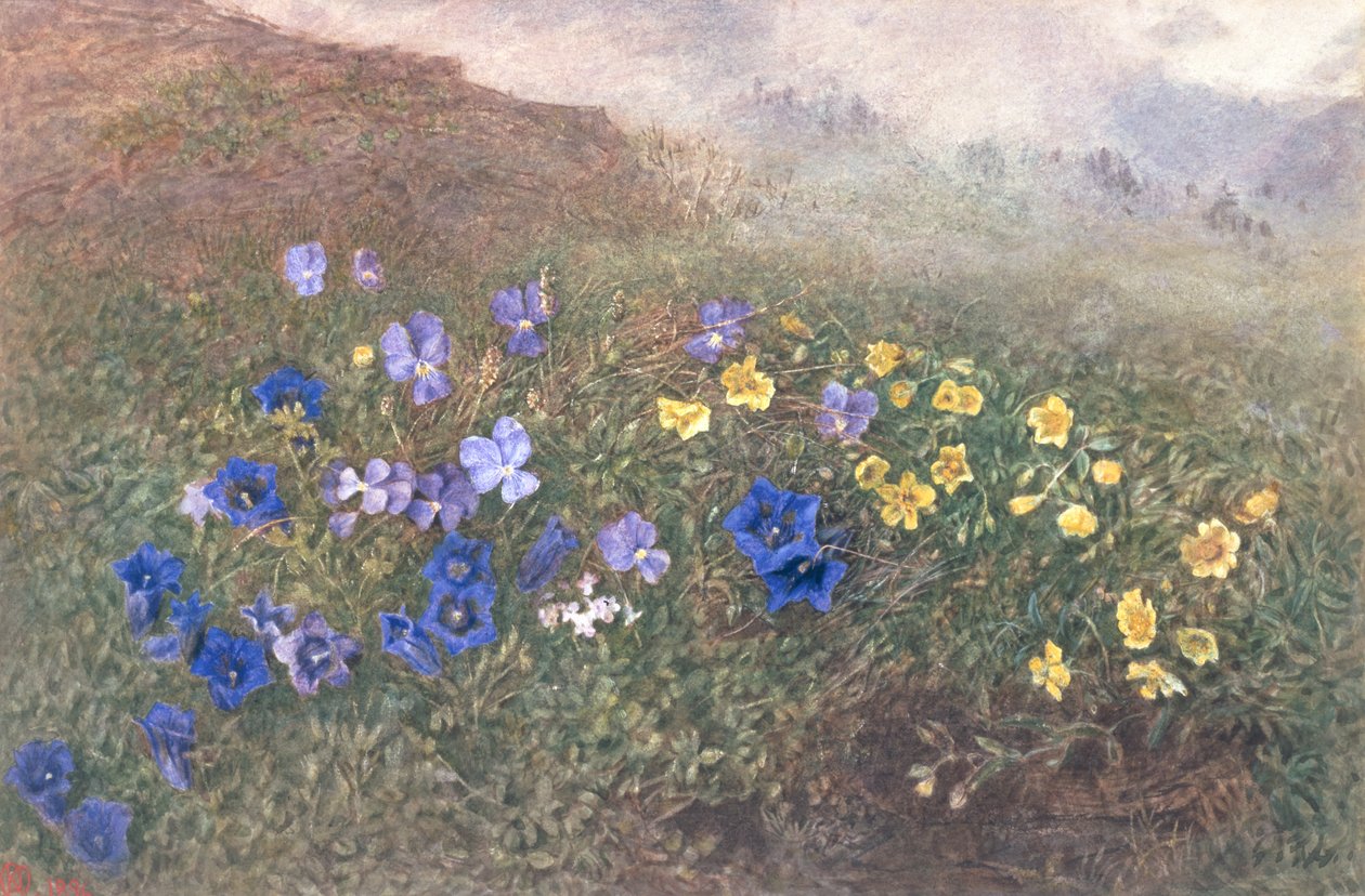 Fiori di montagna primaverili, 1896 da Kate fl.1873 96 Goodwin