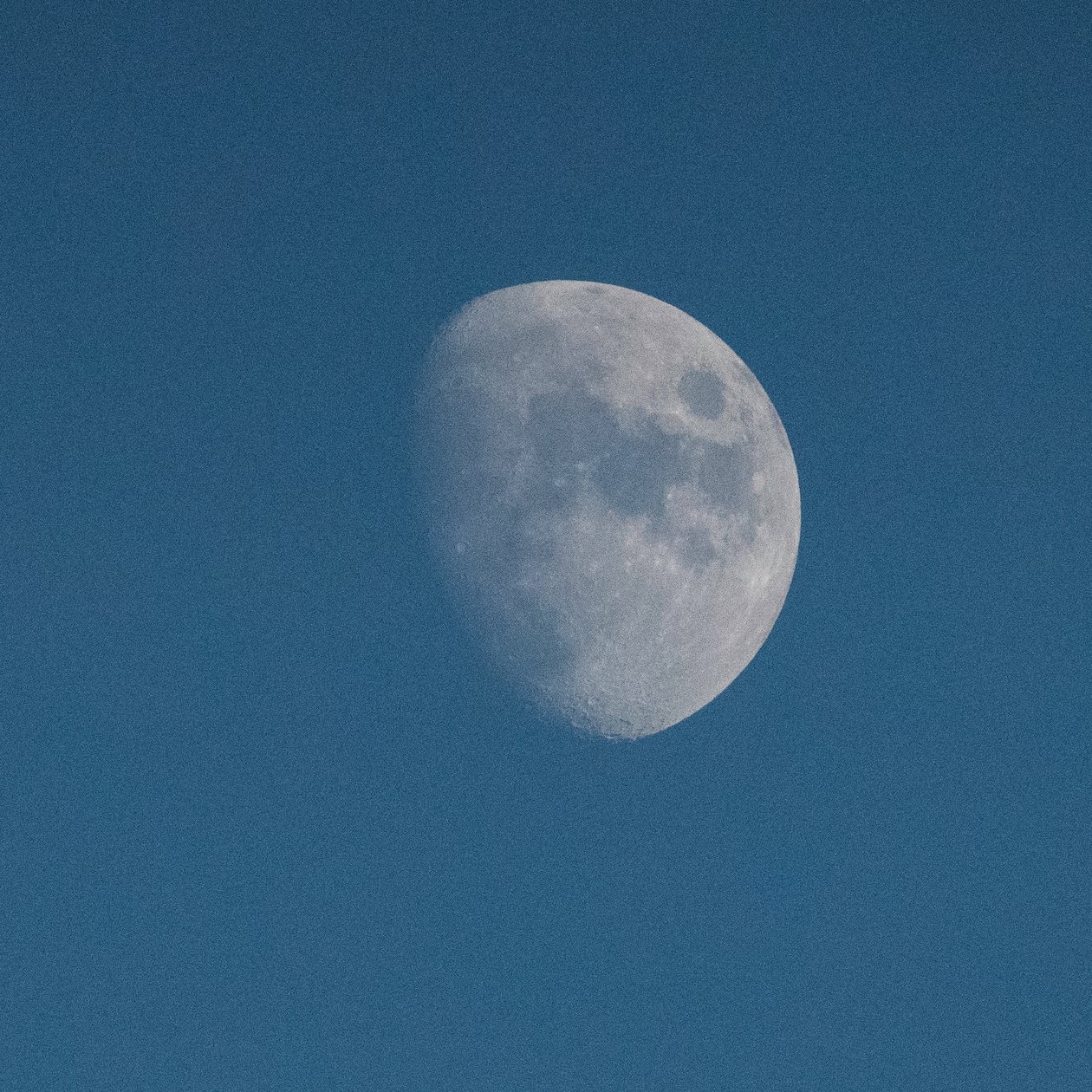 Guarda la luna, 2021 (foto) da Katha Wood