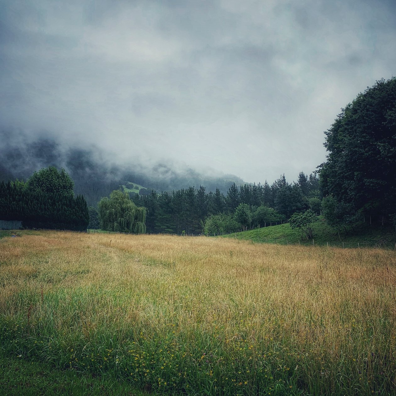 Montagne Nebbiose, 2021 (foto) da Katha Wood
