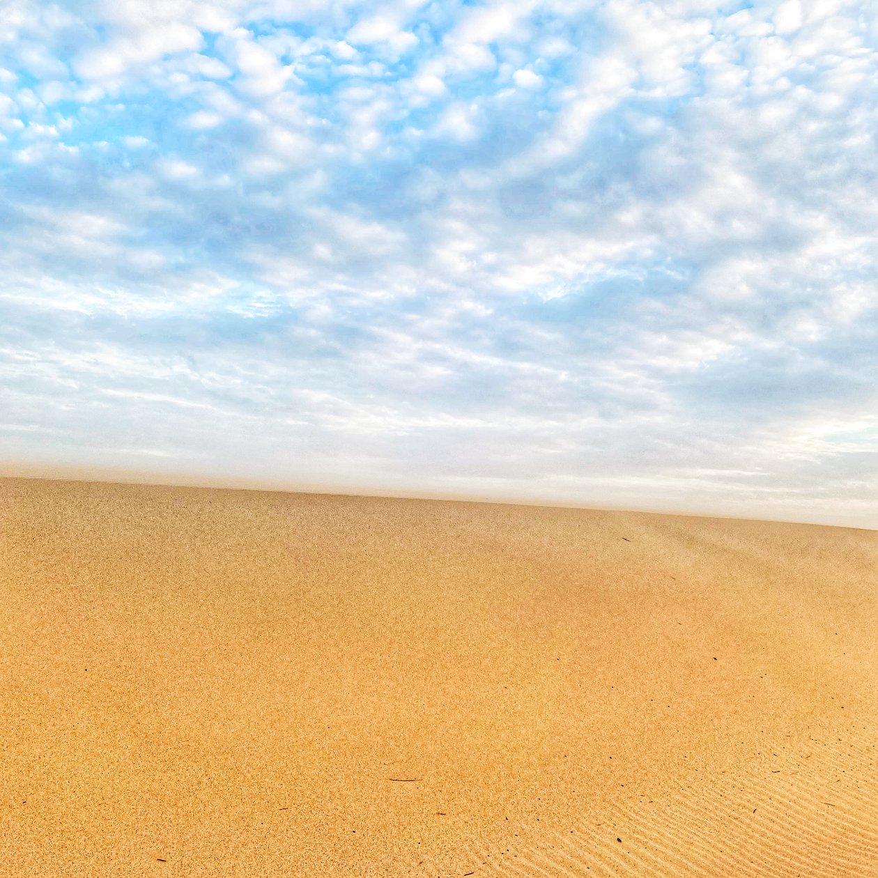 Spiaggia del deserto surreale da Katha Wood