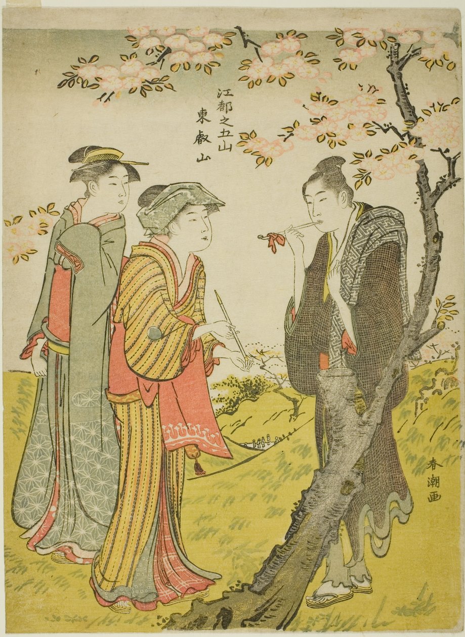 Collina Toei, dalla serie "Cinque colline di Edo" da Katsukawa Shuncho