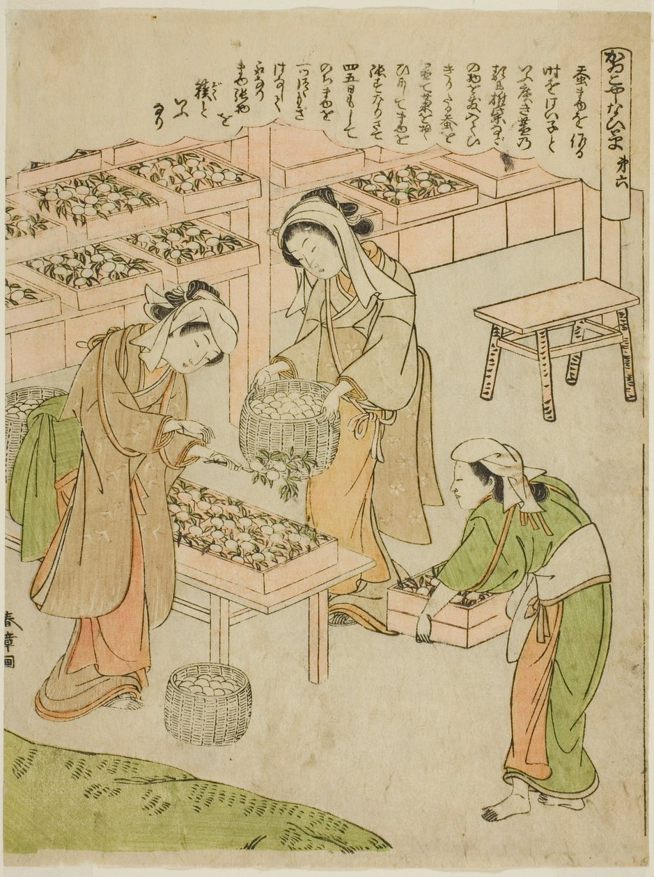 Tavola 6 (Esaminando i bozzoli appena filati), dalla serie "Kaiko Yashinai-gusa" da Katsukawa Shunsho
