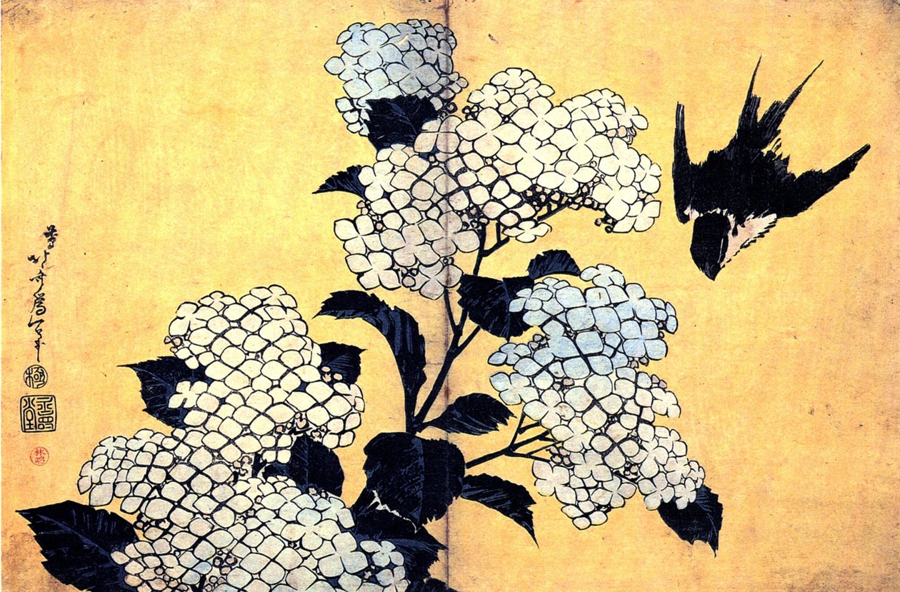 Ortensia e Rondine da Katsushika Hokusai