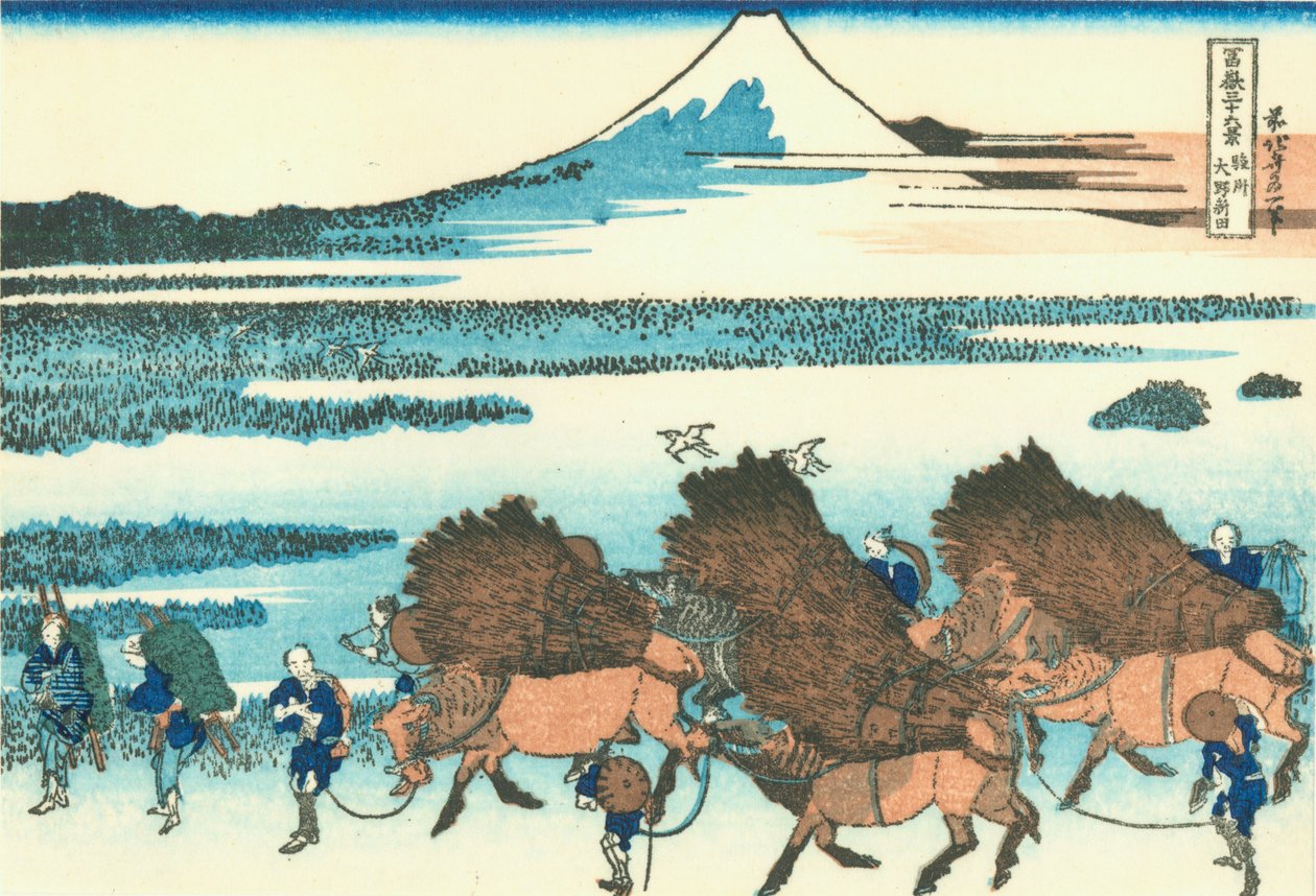 Campi di riso a Ono, provincia di Suruga da Katsushika Hokusai