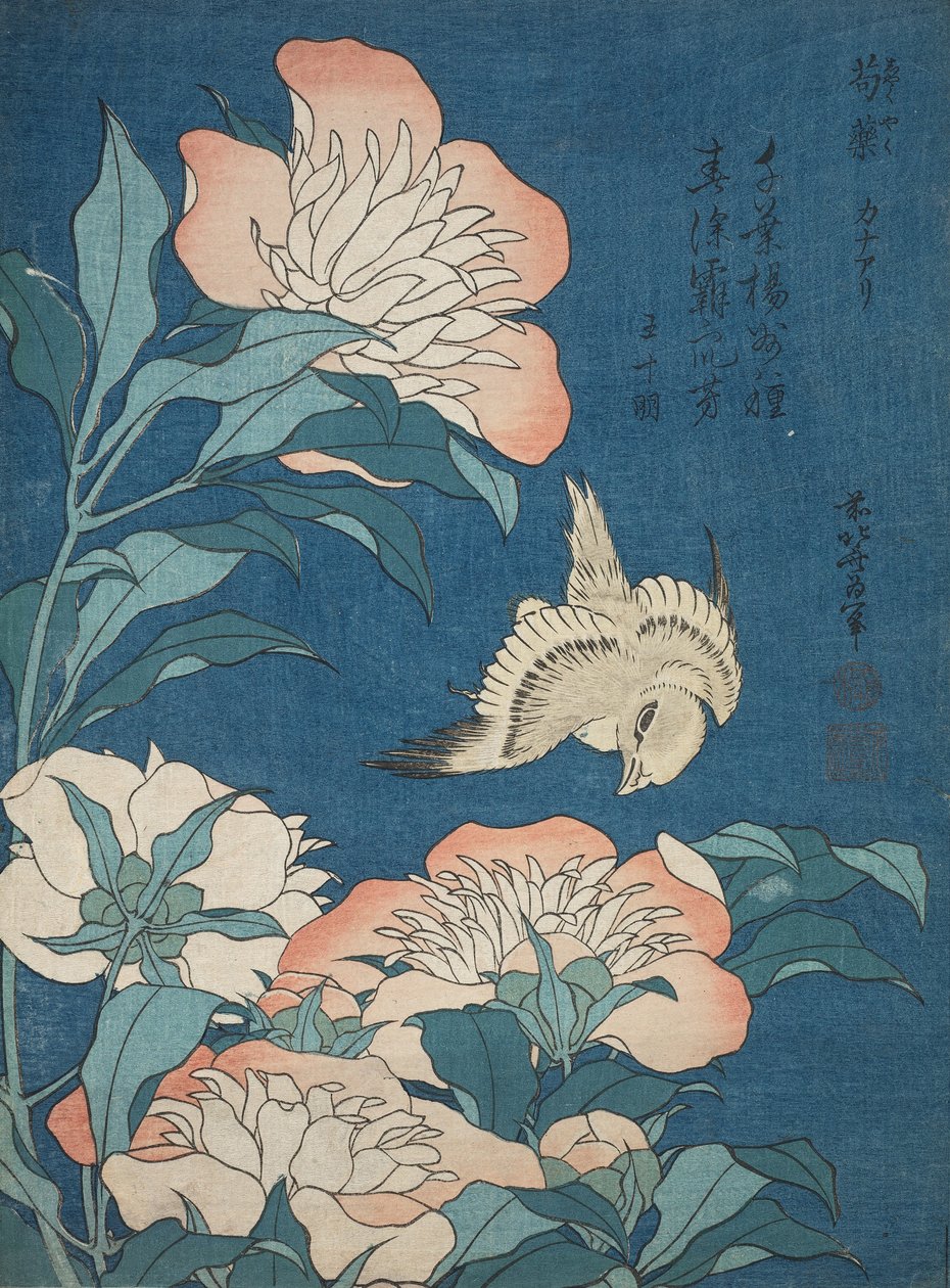 Peonie e canarino (Shakuyaku, kanaari), da una serie senza titolo nota come Fiori piccoli da Katsushika Hokusai