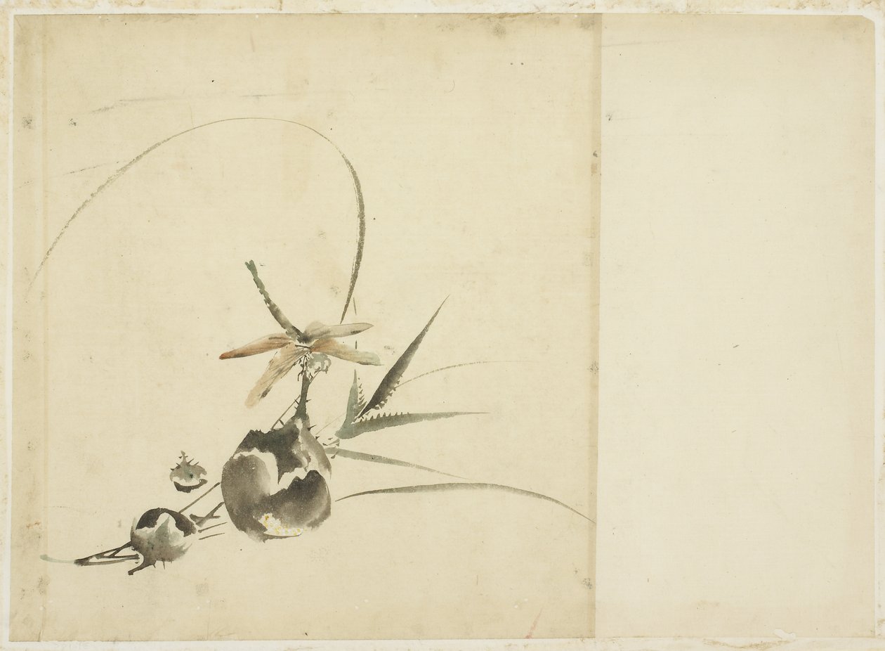 Ramo di frutta con libellula da Katsushika (school of) Hokusai