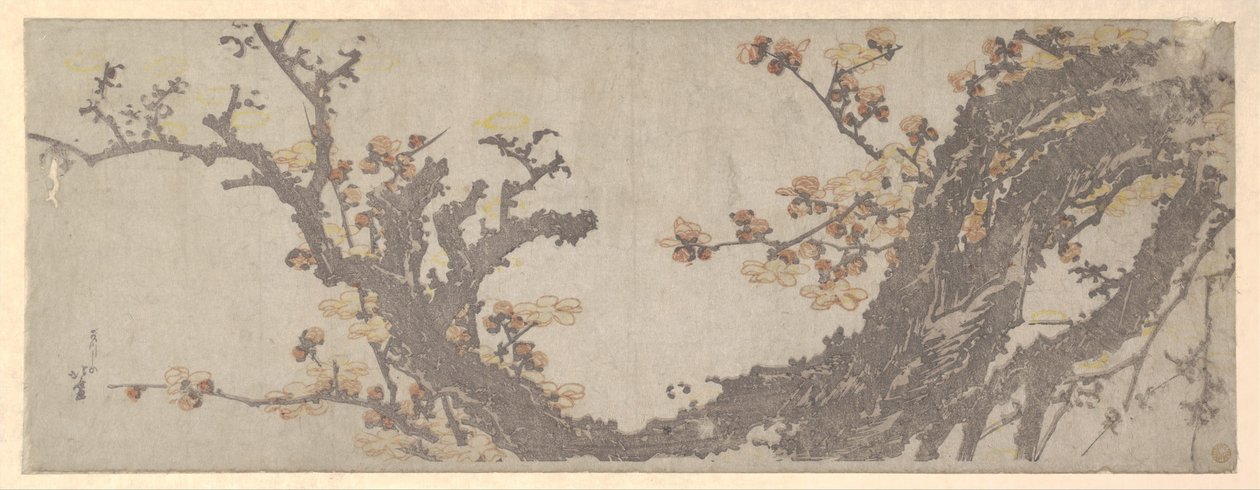 Antico albero di prugne in fiore da Katsushika Hokusai