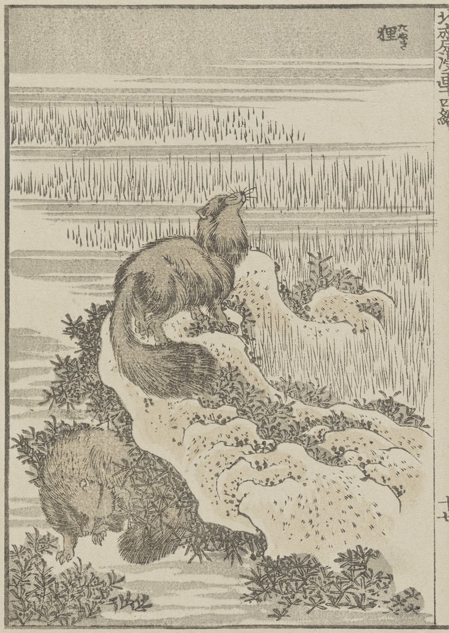 Tasso da Katsushika Hokusai