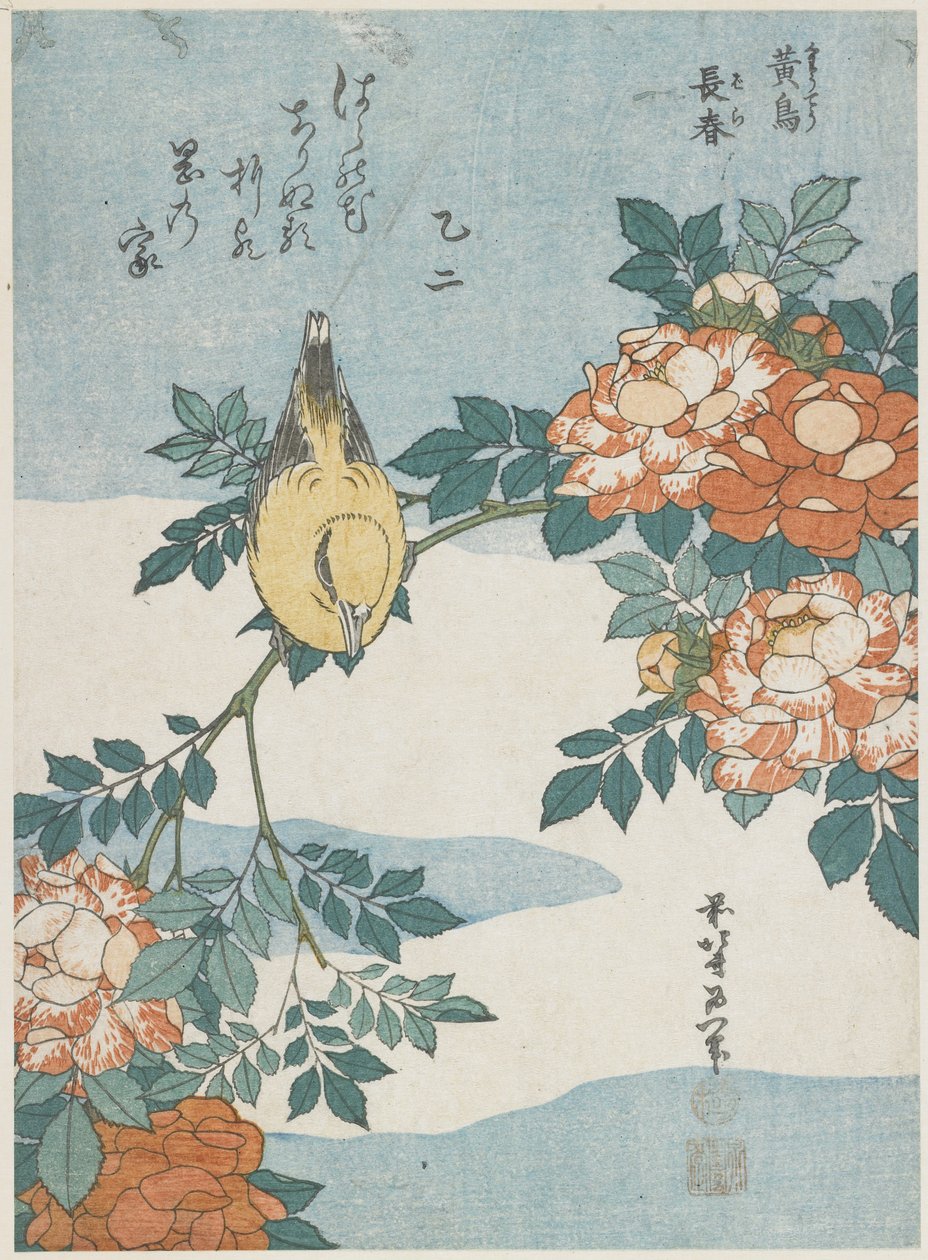 Rigogolo dal collare nero e rosa cinese, c. 1833 da Katsushika Hokusai