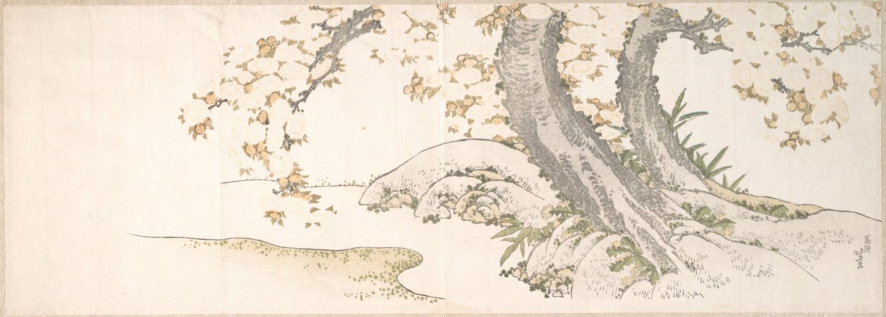 Ciliegi in fiore lungo un ruscello da Katsushika Hokusai