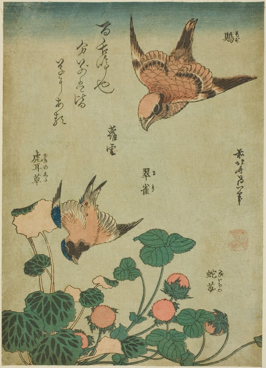 Mozu, ruri, yukinoshita, hebi-ichigo, da una serie senza titolo di fiori e uccelli da Katsushika Hokusai