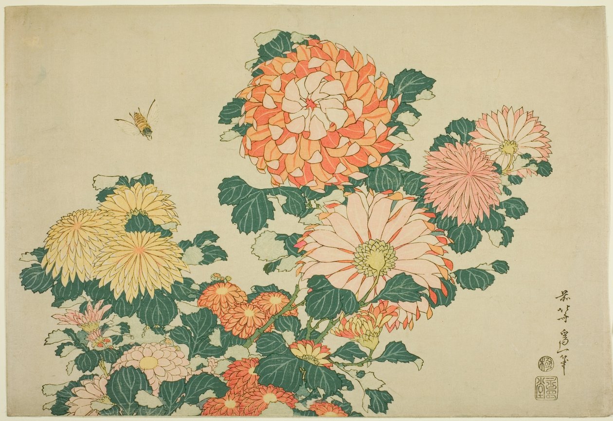 Crisantemi e ape, da una serie senza titolo di Grandi Fiori da Katsushika Hokusai