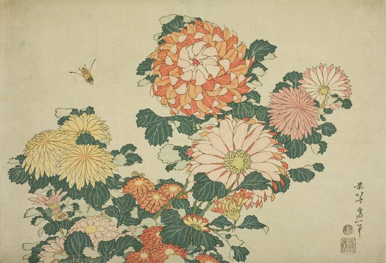 Crisantemi e ape, da una serie senza titolo di grandi fiori da Katsushika Hokusai