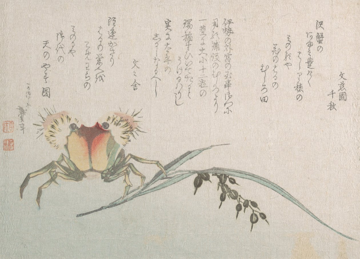 Granchio e pianta di riso, XIX secolo da Katsushika Hokusai