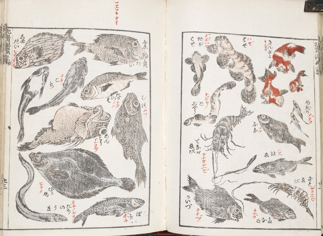 Pesci e creature marine da Katsushika Hokusai