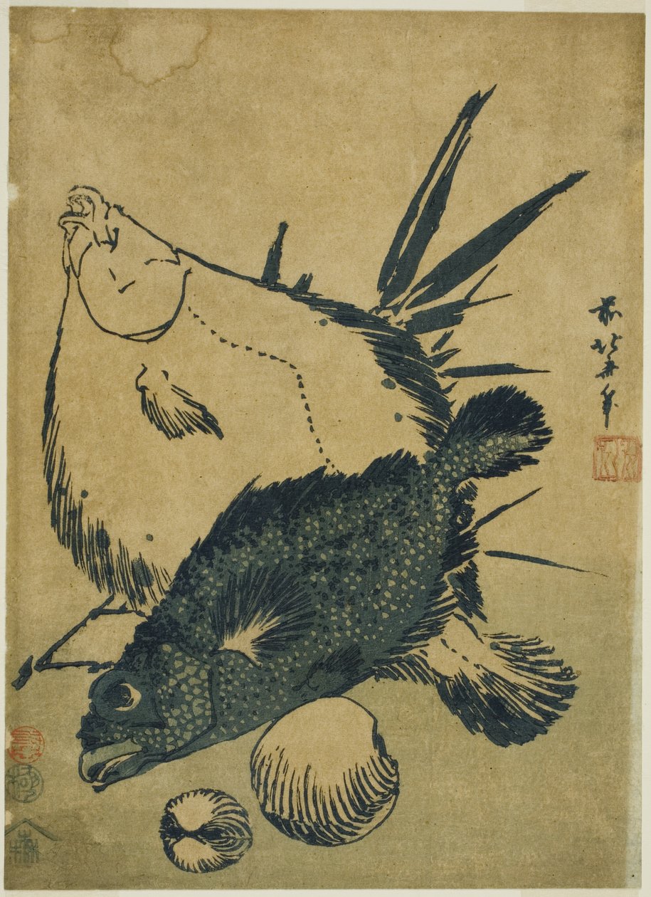 Pesce piatto, scorfano e conchiglie, da una serie senza titolo di stampe chuban da Katsushika Hokusai