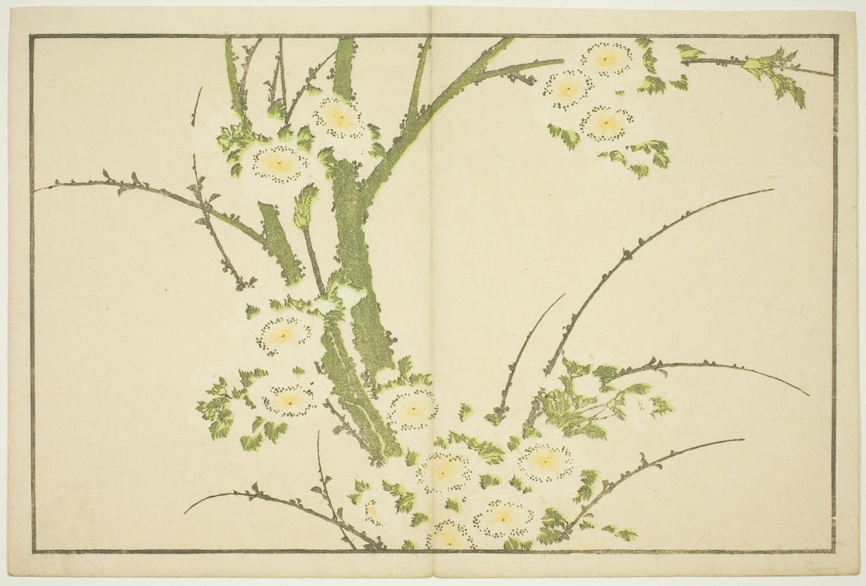 Fiori, dal Libro delle Immagini di Pitture Realistiche di Hokusai (Hokusai shashin gafu) da Katsushika Hokusai