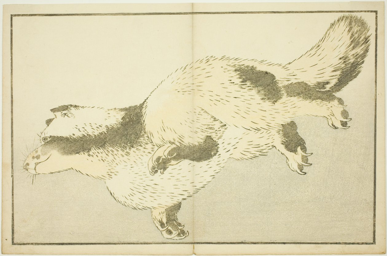 Volpe, dal Libro delle pitture realistiche di Hokusai da Katsushika Hokusai