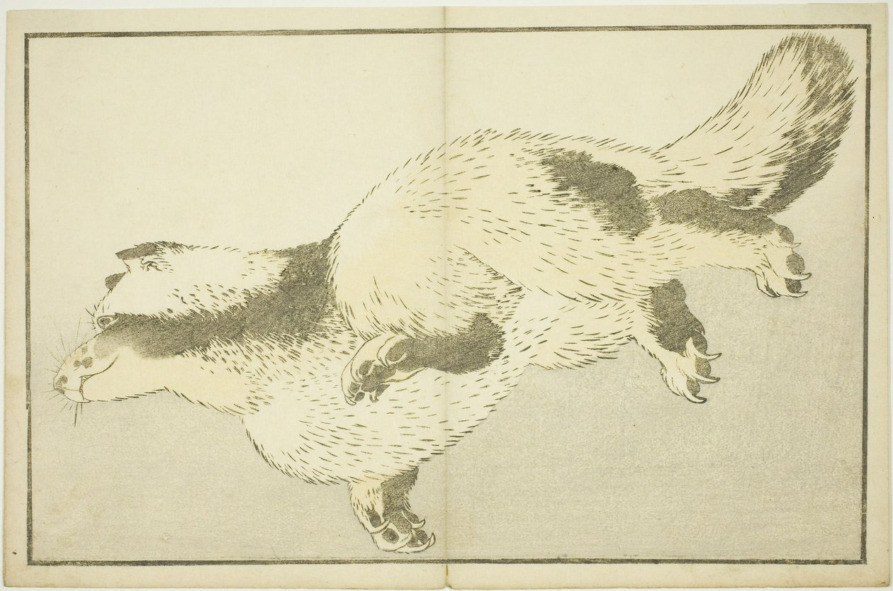 Volpe, dal Libro delle Immagini Realistiche di Hokusai da Katsushika Hokusai