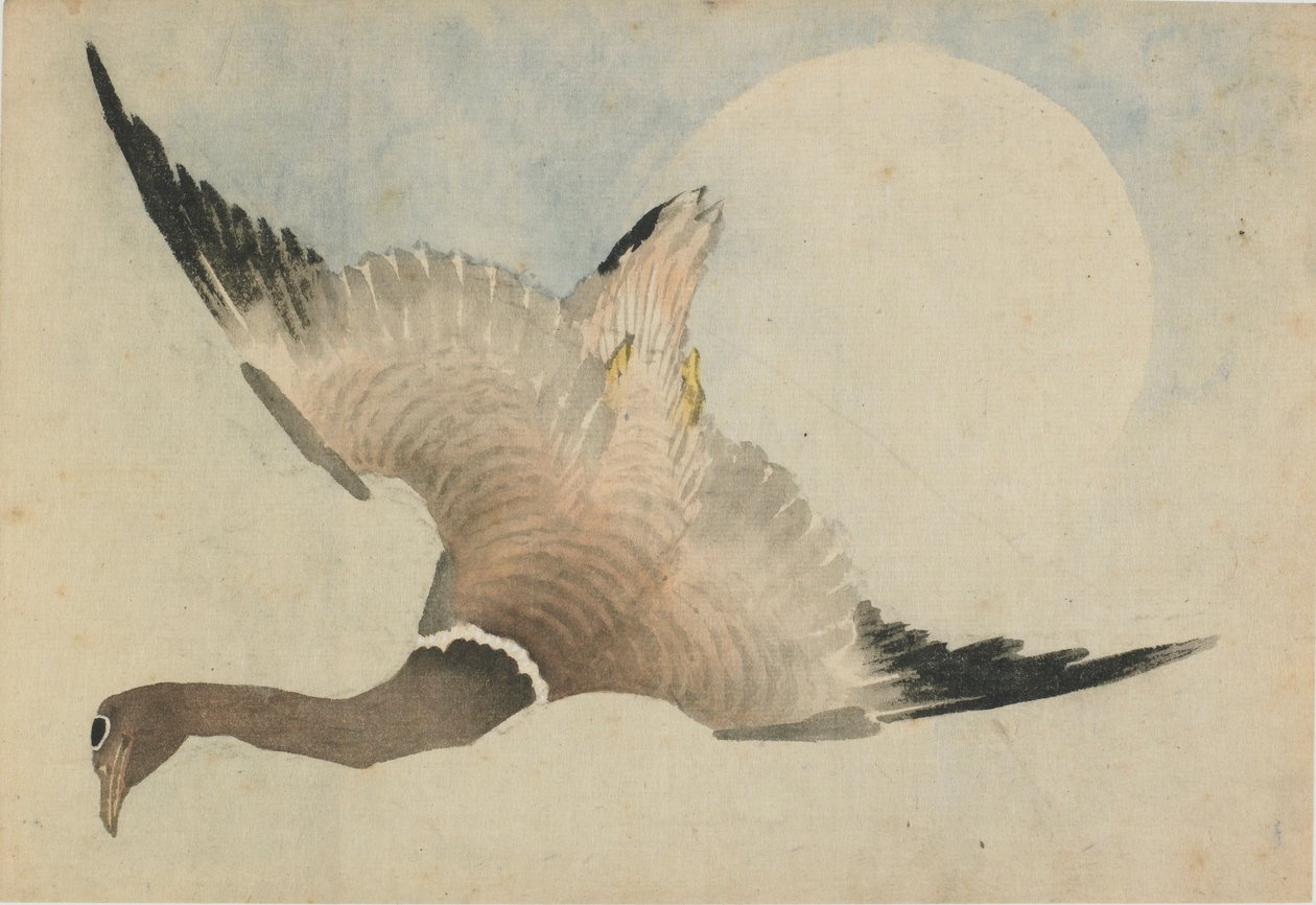 Oca che vola davanti alla luna da Katsushika Hokusai
