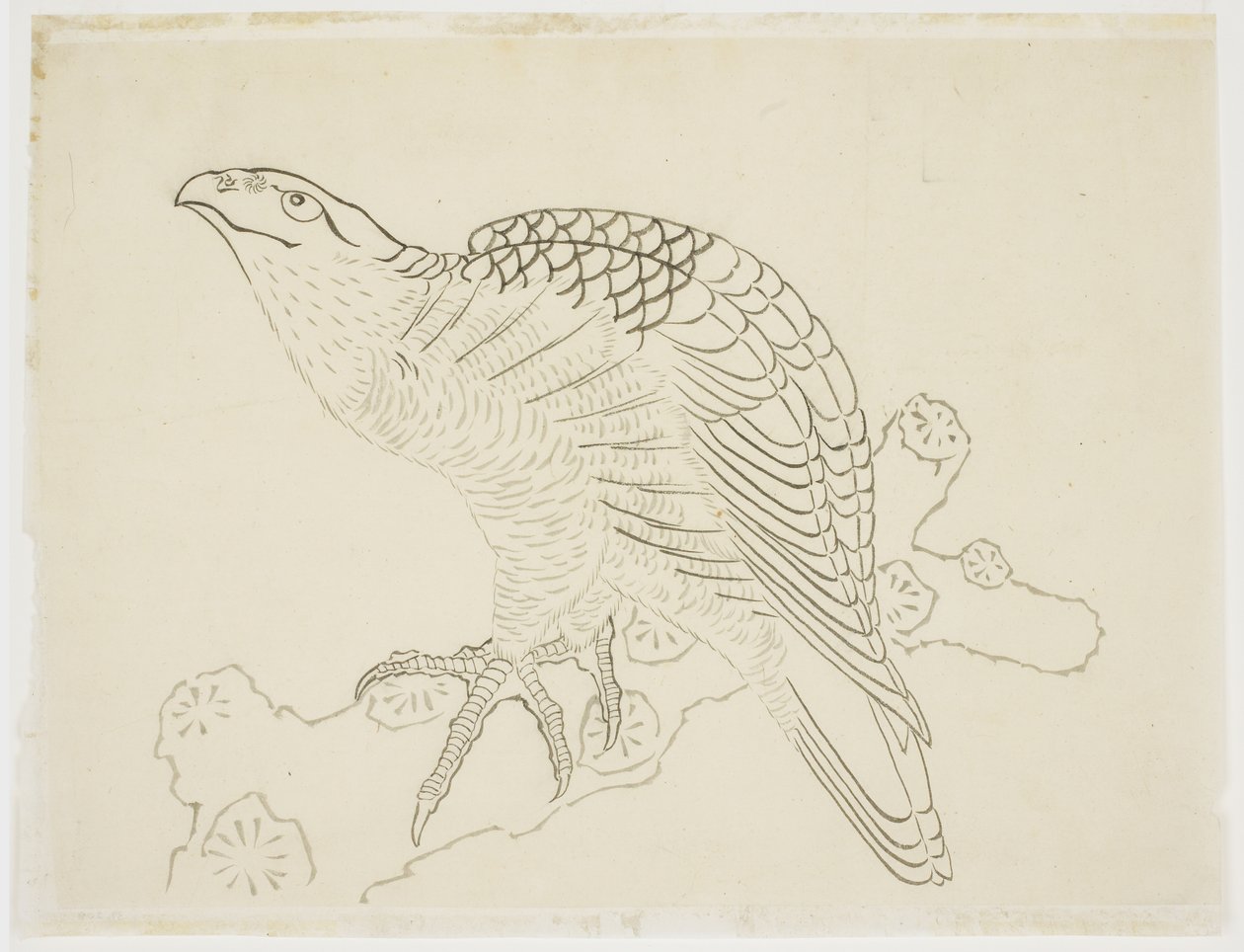 Falco su un ramo (studio) da Katsushika Hokusai