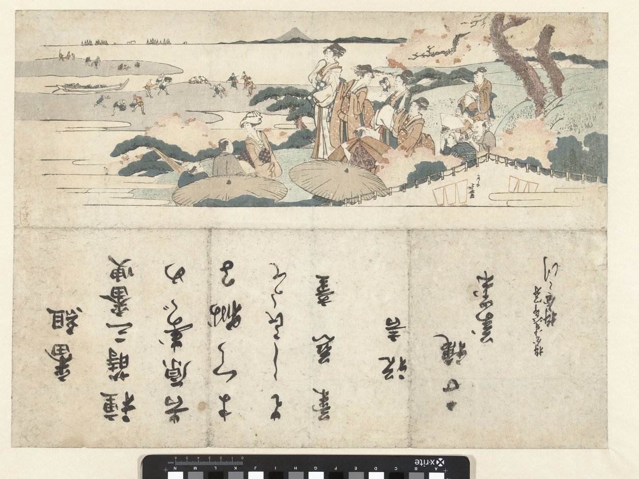 Ammirare i fiori di ciliegio da Katsushika Hokusai