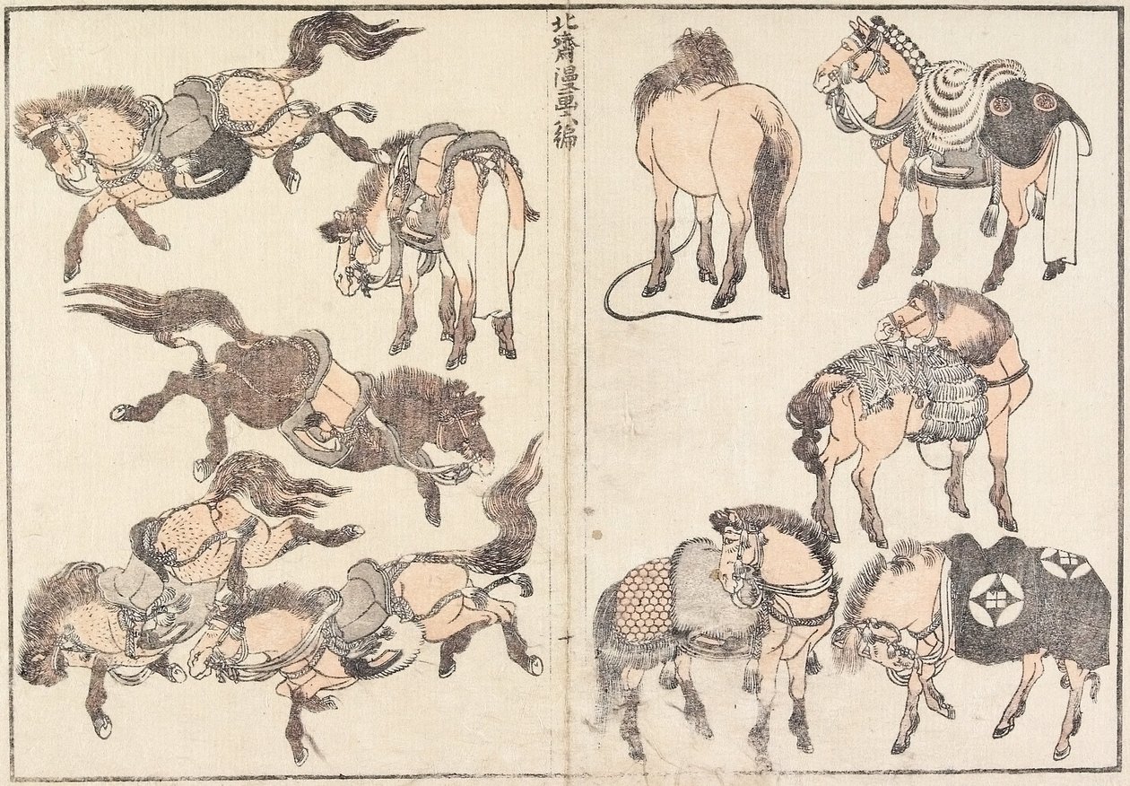 Cavalli da Katsushika Hokusai
