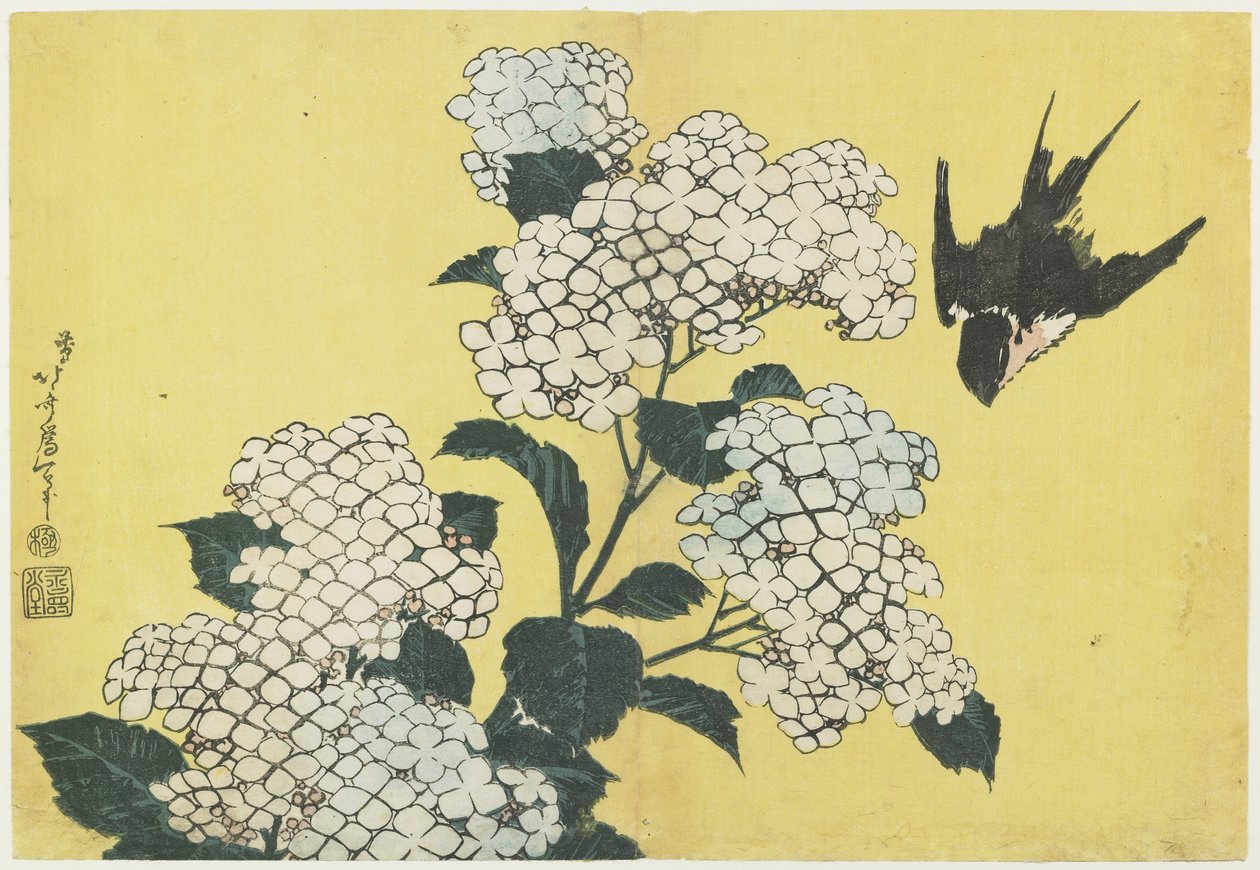 Ortensia e Rondine, c. 1832 da Katsushika Hokusai