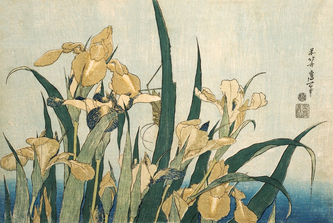 Iris con una cavalletta, pub.1830 da Katsushika Hokusai