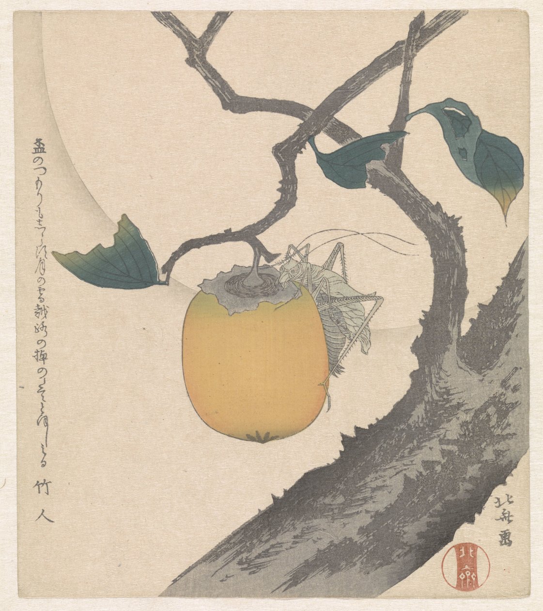 Frutto di cachi con cavalletta da Katsushika Hokusai