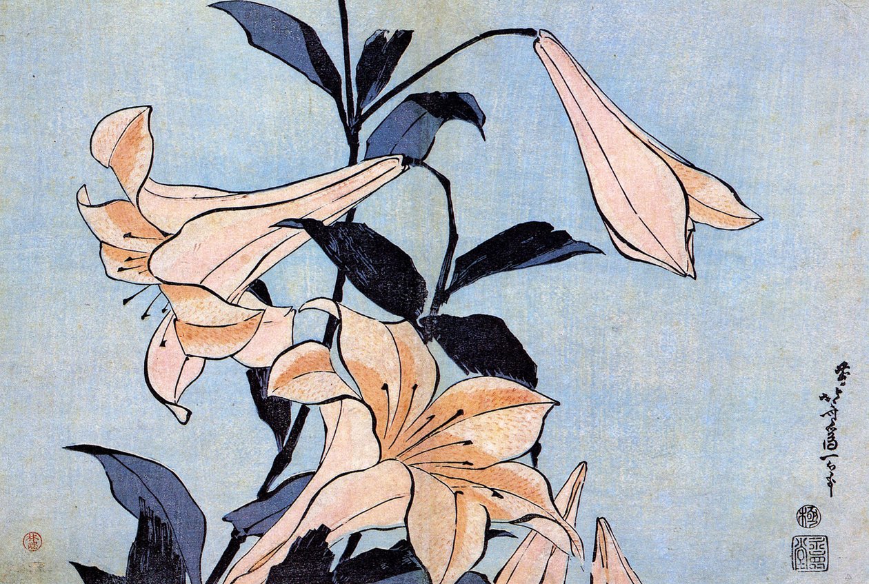 Lys da Katsushika Hokusai