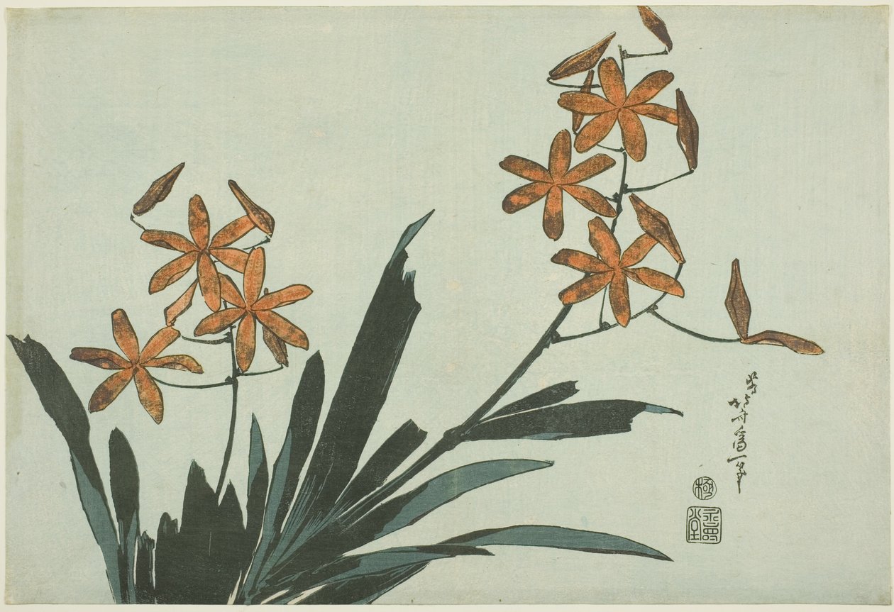 Orchidee arancioni, da una serie senza titolo di fiori da Katsushika Hokusai