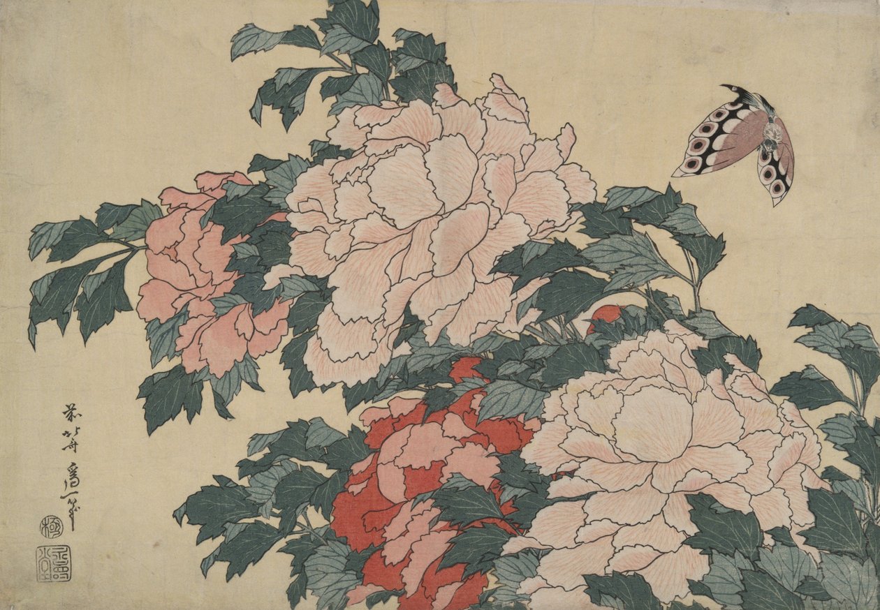 Peonie e farfalla, da una serie senza titolo intitolata “Fiori grandi” da Katsushika Hokusai
