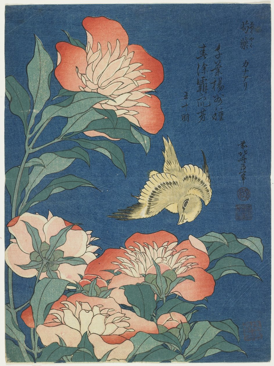 Peonie e canarino, c. 1833 da Katsushika Hokusai