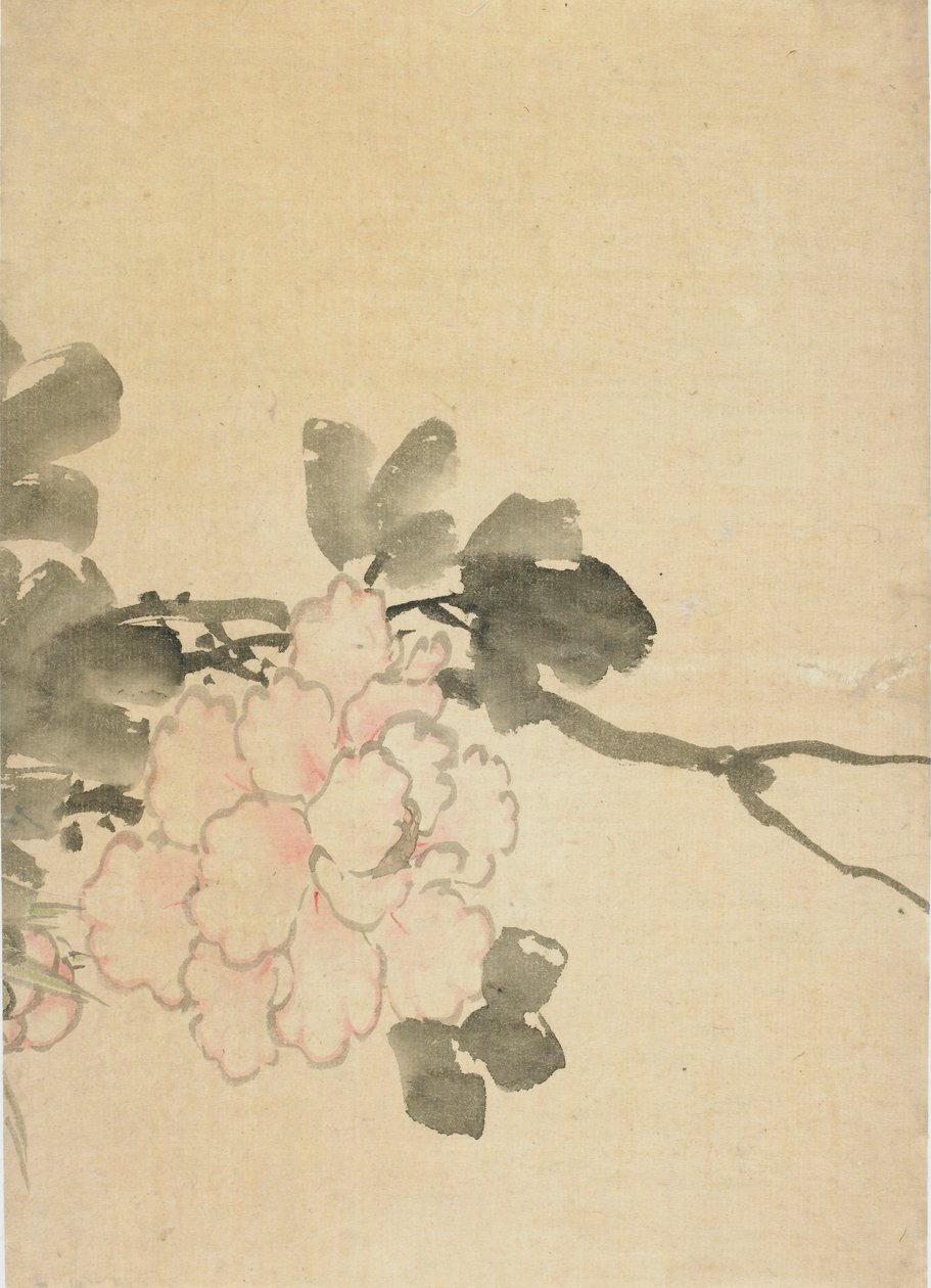 Peonia da Katsushika Hokusai