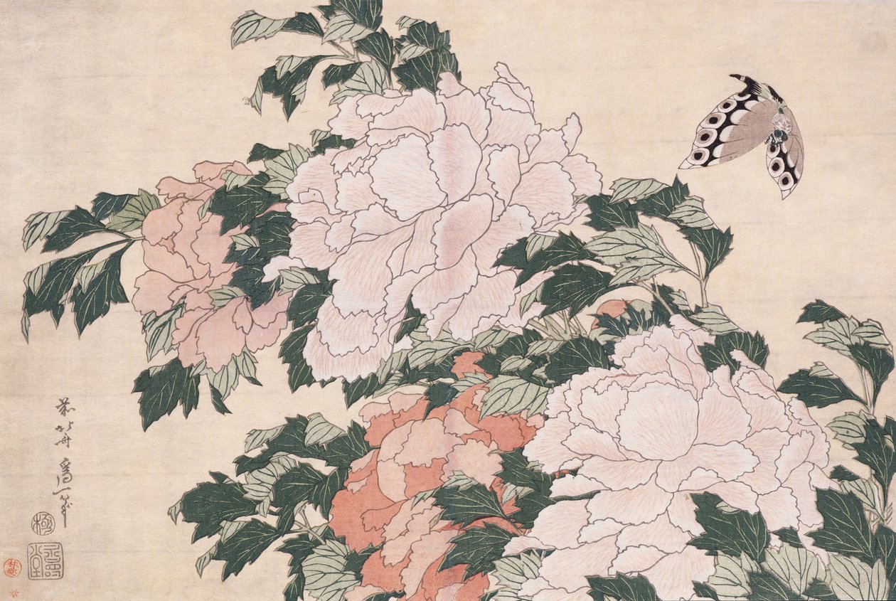 Peonie rosa e rosse soffiate a sinistra in una brezza e una farfalla da Katsushika Hokusai