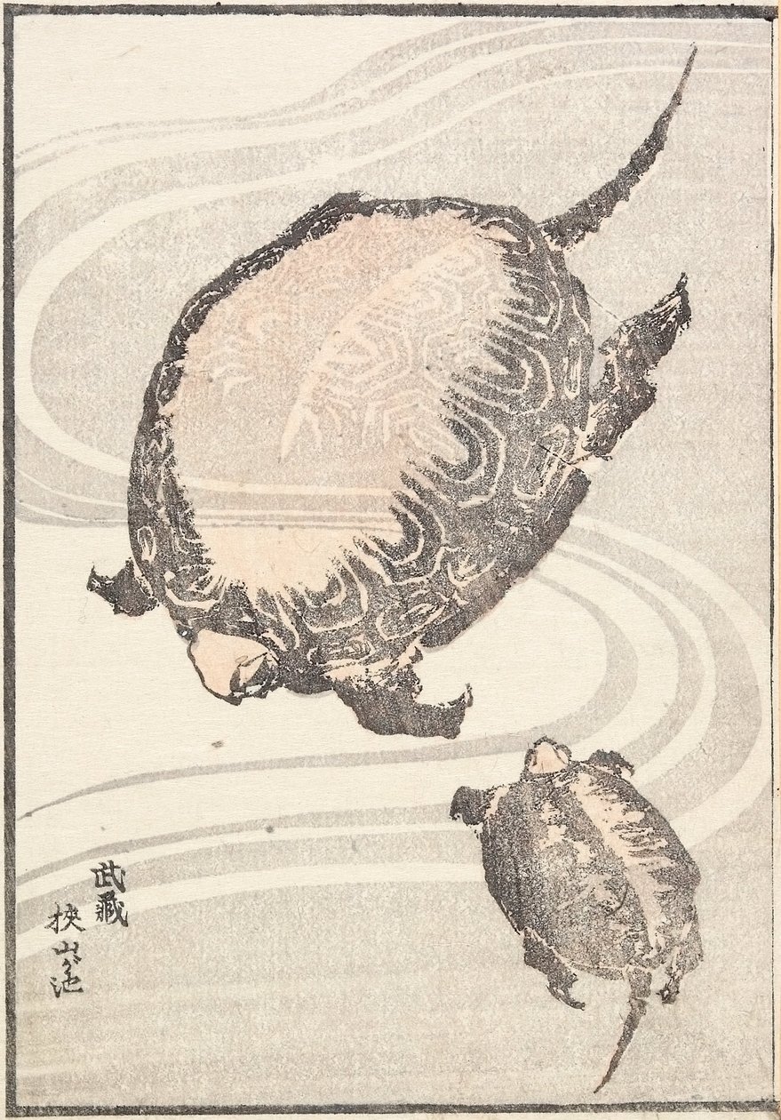 Lo stagno Sayama-ga-ike nella provincia di Musashi da Katsushika Hokusai