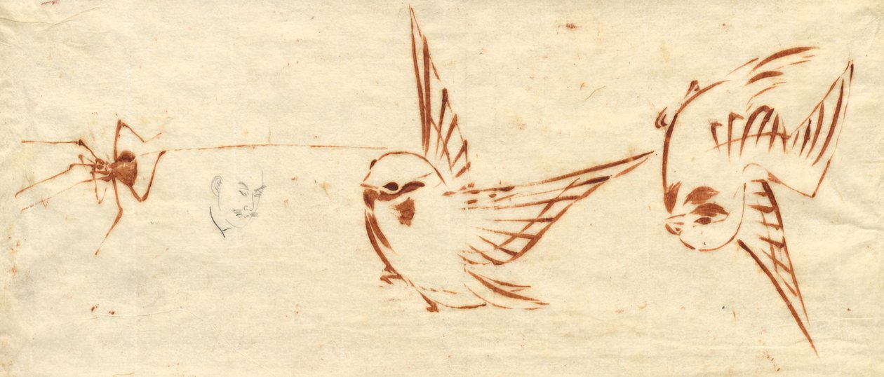 Pagina di Schizzi con Uccelli e Ragno da Katsushika Hokusai