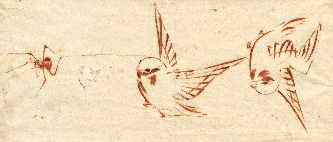 Pagina di Schizzi con Uccelli e Ragno da Katsushika Hokusai