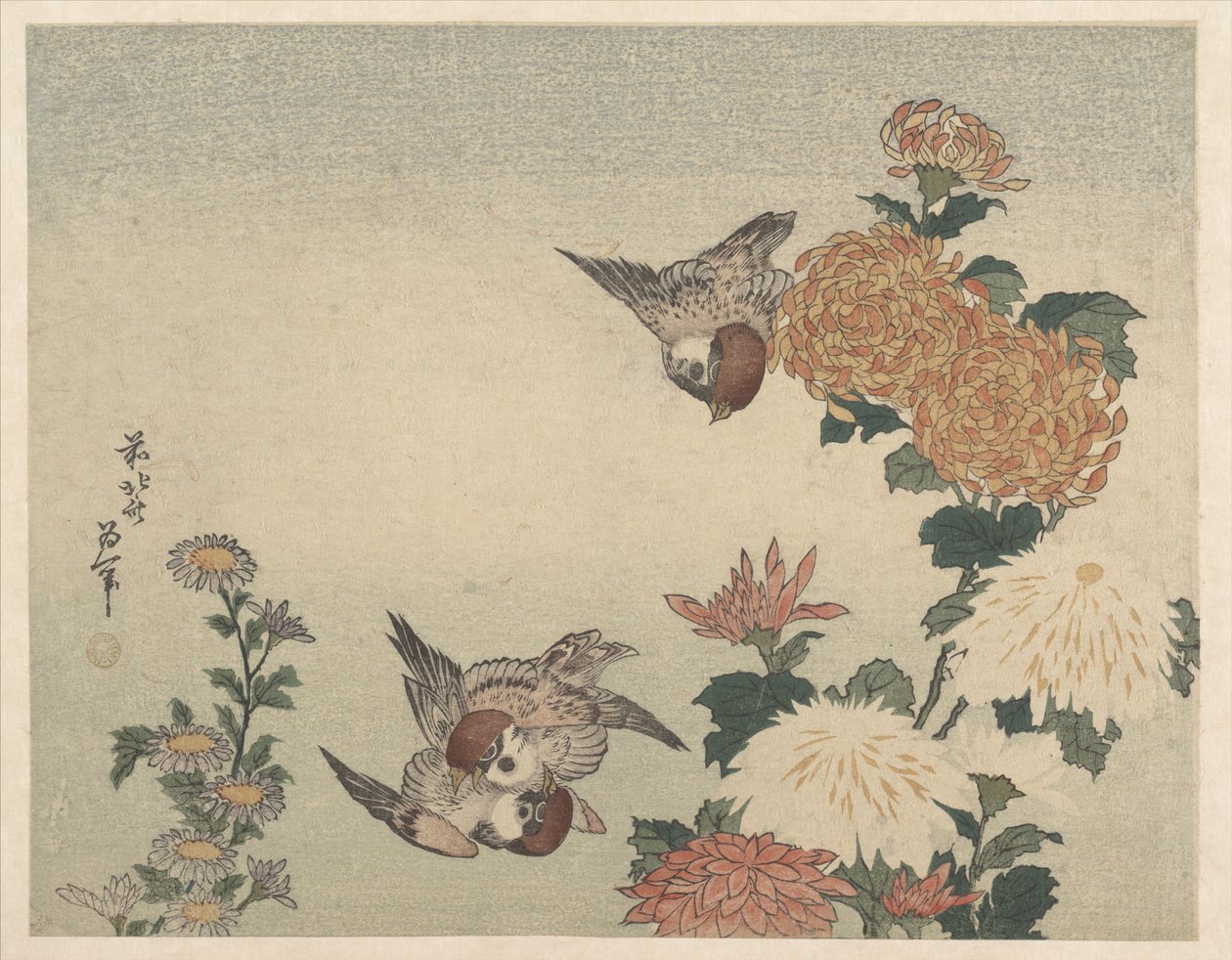 Passeri e crisantemi da Katsushika Hokusai