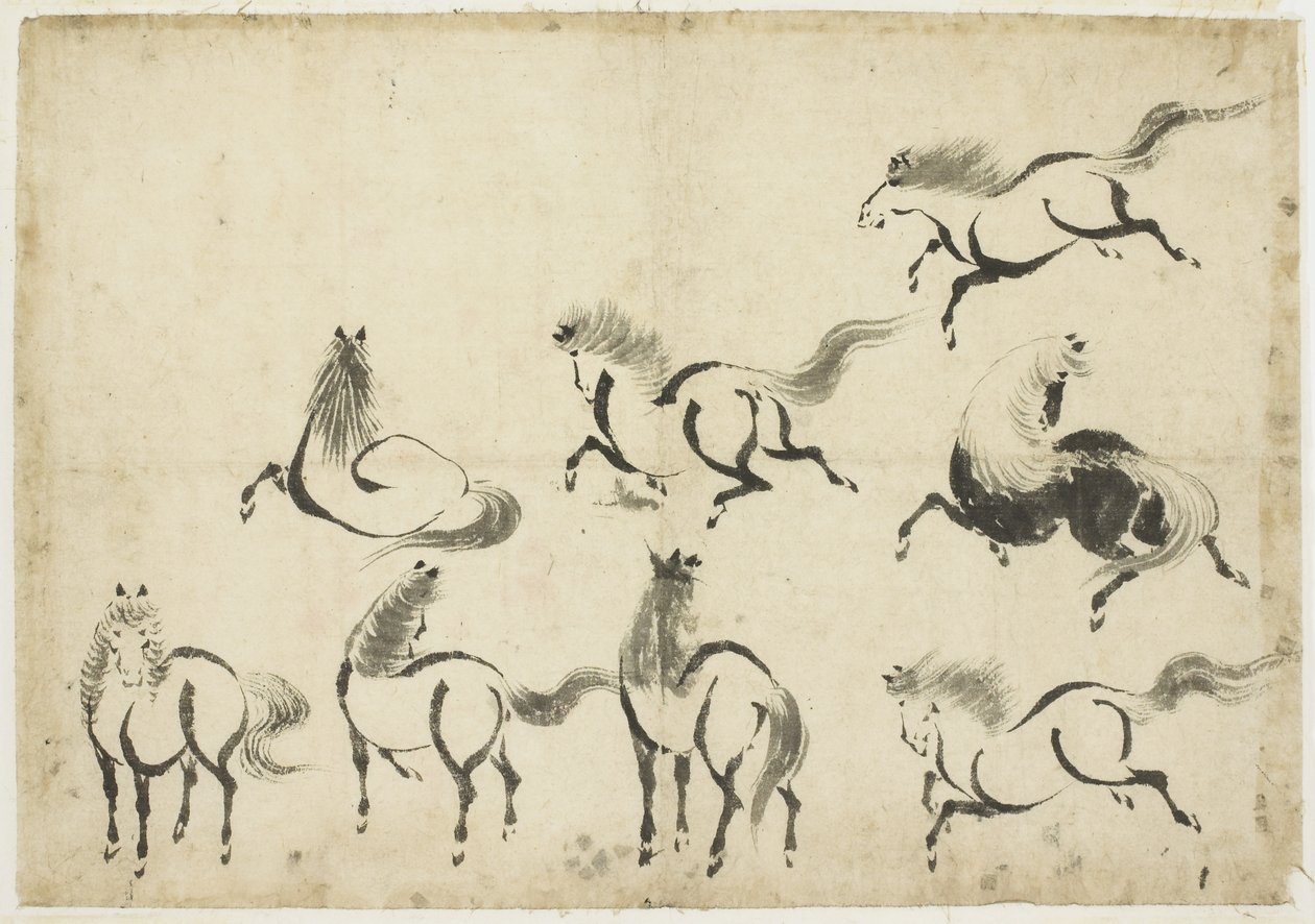 Studi di cavalli, c.1815-1849 da Katsushika Hokusai