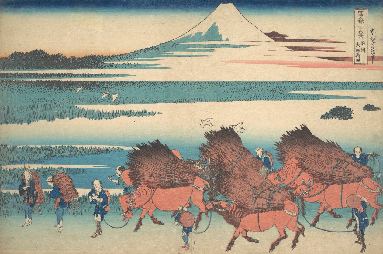 I nuovi campi a Ono nella provincia di Suruga Sunshu Ono shinden, dalla serie Thir..., ca. 1830-32 da Katsushika Hokusai