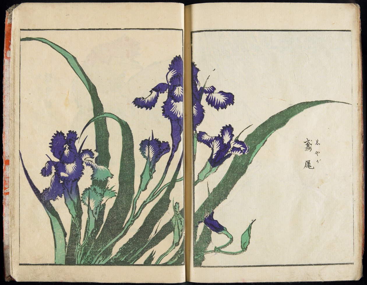 Trasmettere lo spirito e rivelare la forma delle cose: Il giardino delle immagini di Hokusai, vol. 1 completo da Katsushika Hokusai