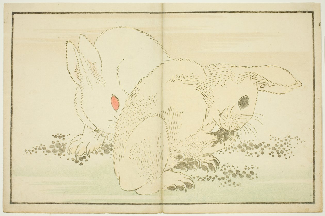 Due conigli, dal Libro delle pitture realistiche di Hokusai (Hokusai shashin gafu) da Katsushika Hokusai