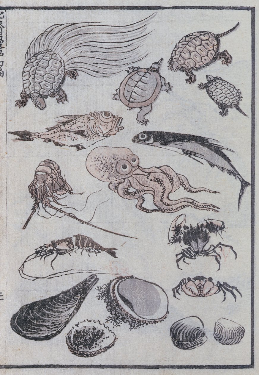 Creature sottomarine, da un Manga da Katsushika Hokusai
